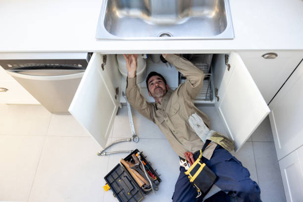 Best Local Plumber Services  in Brookville, NY