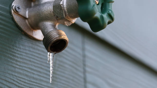 Best Affordable Plumbing Services  in Brookville, NY